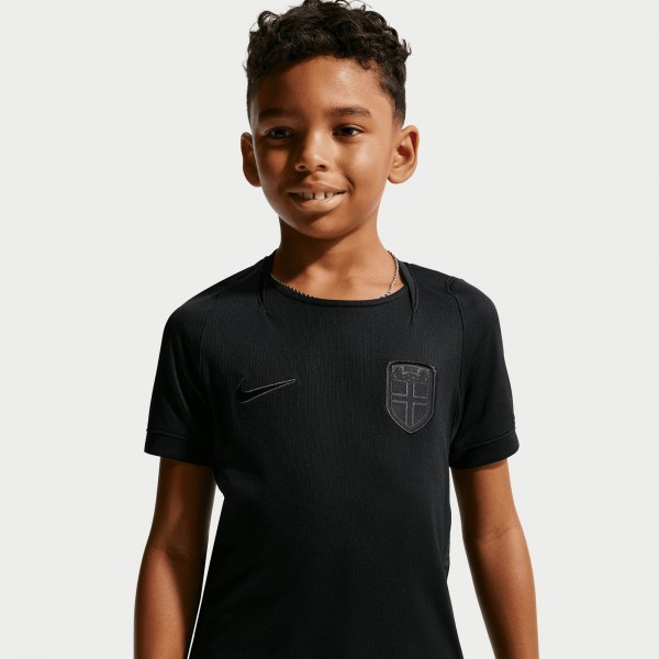 Подростковая Norway National Team Nike 2026 Away Stadium Replica Jersey - Gray