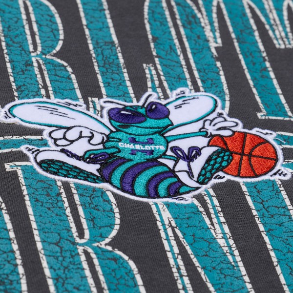 Charlotte Hornets Mitchell & Ness Black NBA Downtown Collection Fleece Sweatshirt