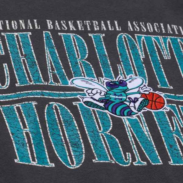 Charlotte Hornets Mitchell & Ness Black NBA Downtown Collection Fleece Sweatshirt