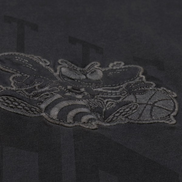 Charlotte Hornets Mitchell & Ness Black Downtown Collection Premium T-Shirt