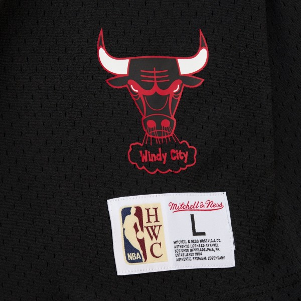 Футболка с капюшоном Chicago Bulls Dennis Rodman Mitchell & Ness Black Mesh Name & Number