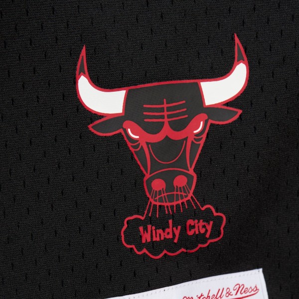 Футболка с капюшоном Chicago Bulls Dennis Rodman Mitchell & Ness Black Mesh Name & Number