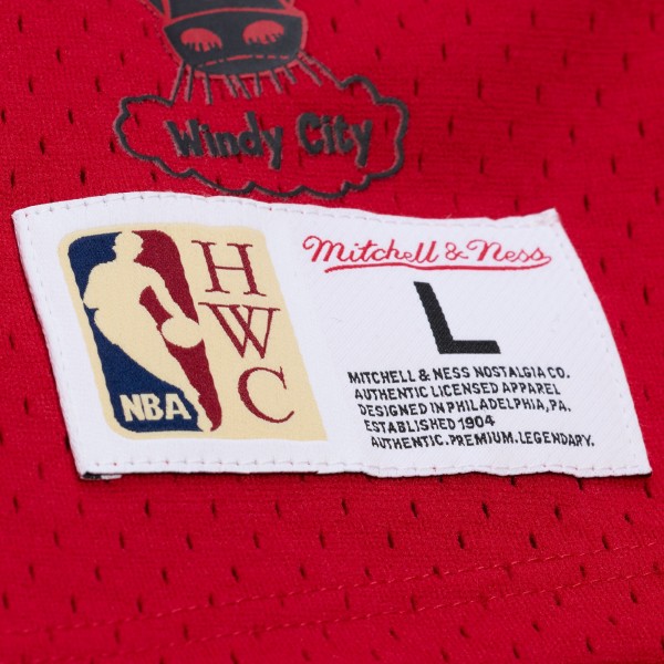 Футболка с капюшоном Chicago Bulls Scottie Pippen Mitchell & Ness Red Mesh Name & Number