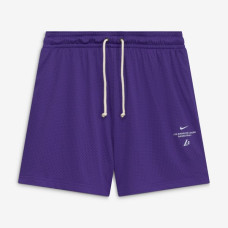 Шорты Los Angeles Lakers Nike 2026 Standard Issue Practice Mesh - Purple