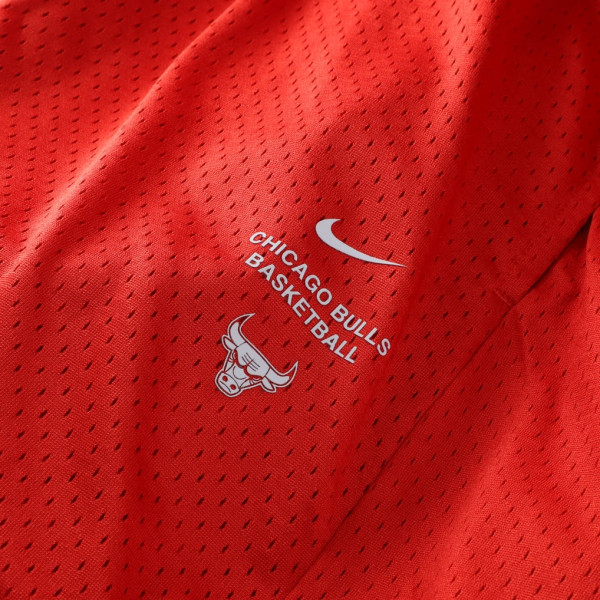 Шорты Chicago Bulls Nike 2026 Standard Issue Practice Mesh - Red
