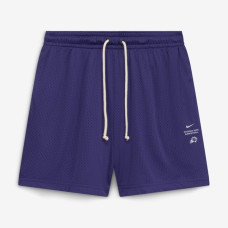 Шорты Phoenix Suns Nike 2026 Standard Issue Practice Mesh - Purple