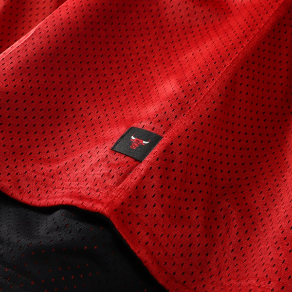 Джерси Chicago Bulls Nike 2026 Standard Issue Practice Icon Mesh Reversible - Red/Black