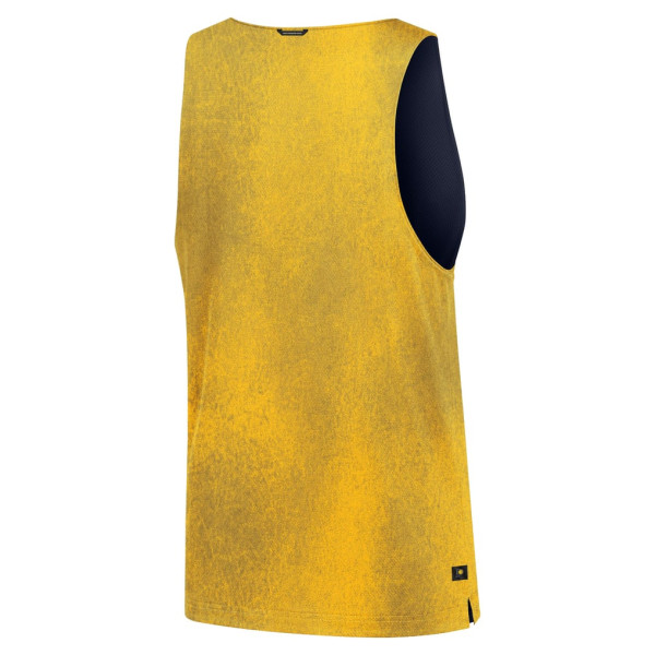 Джерси Indiana Pacers Nike 2026 Standard Issue Practice Icon Mesh Reversible - Gold/Navy