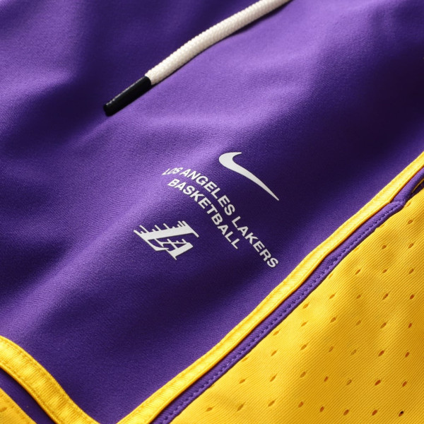 Шорты Los Angeles Lakers Nike 2026 Standard Issue Pre-Game Pro - Purple