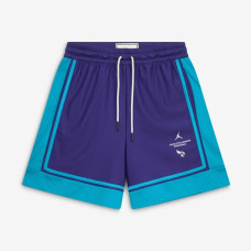Шорты Charlotte Hornets Jordan Brand 2026 Standard Issue Pre-Game Pro - Purple