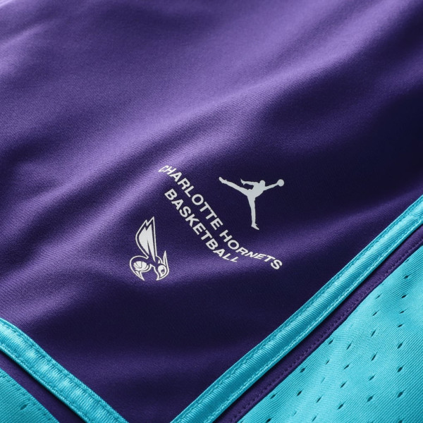 Шорты Charlotte Hornets Jordan Brand 2026 Standard Issue Pre-Game Pro - Purple