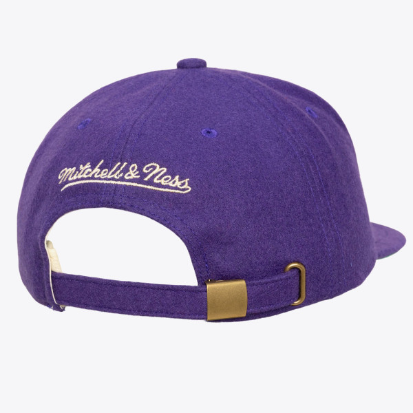 Бейсболка Charlotte Hornets Mitchell & Ness Purple Hardwood Classics Retro Roots Vintage