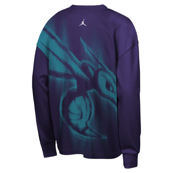 Детская футболка с длинным рукавом Charlotte Hornets Jordan Brand 2026 Standard Issue Pre-Game Performance - Purple