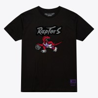 Unisex Toronto Raptors Mitchell & Ness Black Hardwood Classics Arch T-Shirt