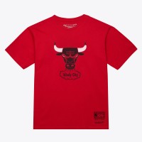 Unisex Chicago Bulls Mitchell & Ness Red Hardwood Classics Arch T-Shirt