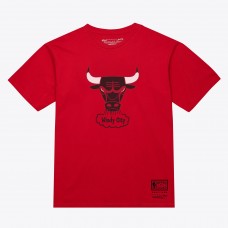 Unisex Chicago Bulls Mitchell & Ness Red Hardwood Classics Arch T-Shirt