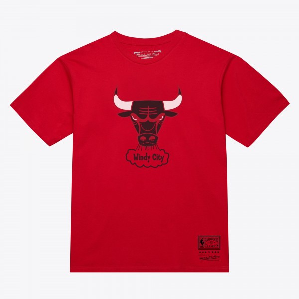 Unisex Chicago Bulls Mitchell & Ness Red Hardwood Classics Arch T-Shirt