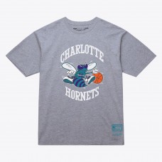 Unisex Charlotte Hornets Mitchell & Ness Heather Gray Hardwood Classics Arch T-Shirt