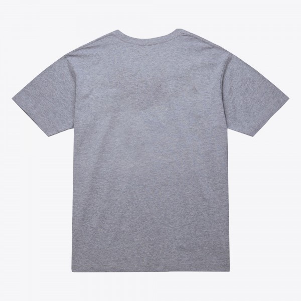 Unisex Charlotte Hornets Mitchell & Ness Heather Gray Hardwood Classics Arch T-Shirt