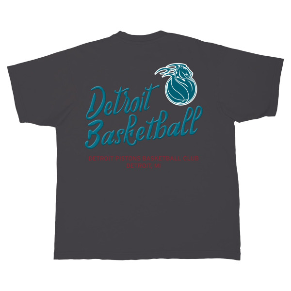 Unisex Detroit Pistons Stadium Essentials Black Local Barfly Urban T-Shirt