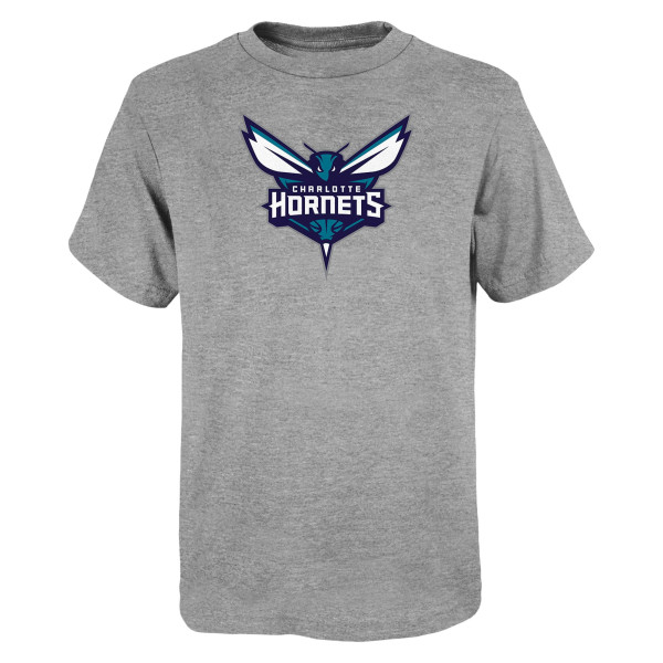 Детская футболка Charlotte Hornets Outerstuff Gray Primary Logo