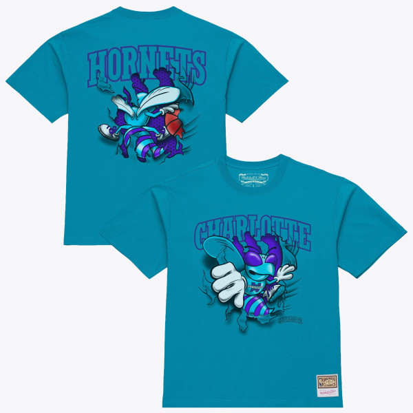Футболка Charlotte Hornets Mitchell & Ness Teal Breakthrough
