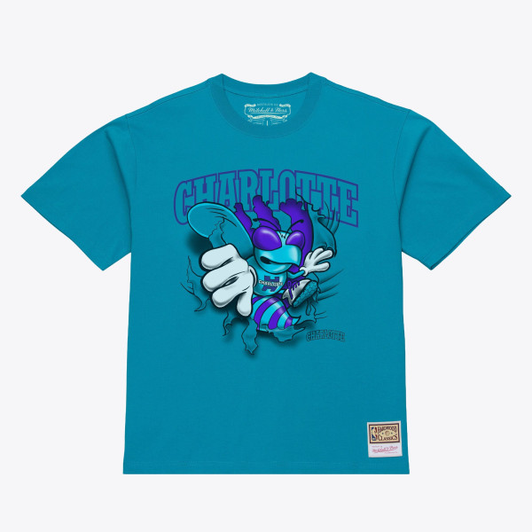 Футболка Charlotte Hornets Mitchell & Ness Teal Breakthrough