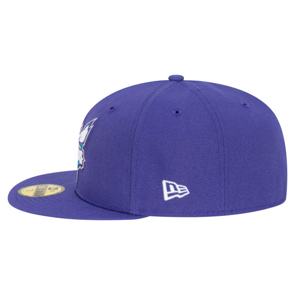 Бейсболка Charlotte Hornets New Era Purple Team 59FIFTY