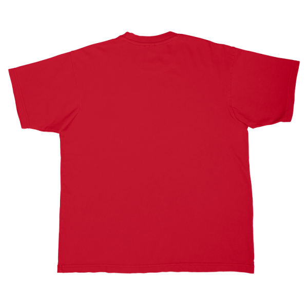 Футболка Unisex Philadelphia 76ers Stadium Essentials Red Hideout Boxy