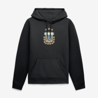 Толстовка Argentina National Team Primary Logo - Black