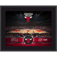 Chicago Bulls Authentic 10.5 x 13 Sublimated Team Plaque