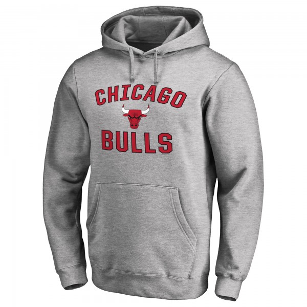 Толстовка Chicago Bulls Ash Victory Arch