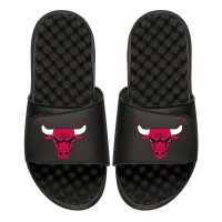 Шлепки Chicago Bulls Black Primary