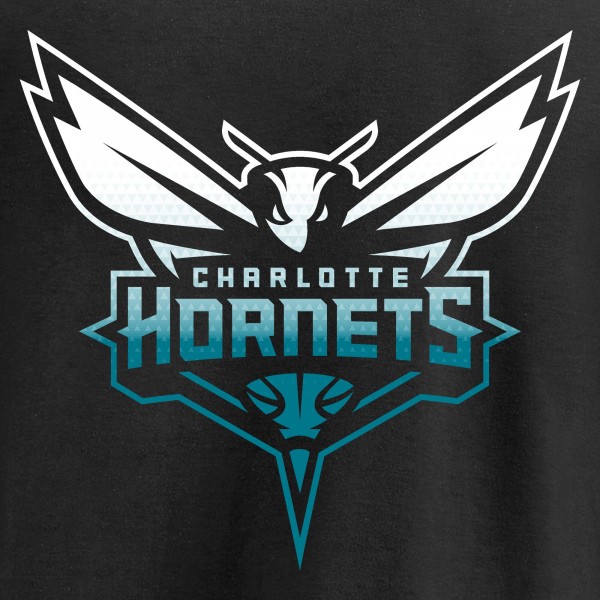 Футболка с длинным рукавом Charlotte Hornets Black Gradient Logo