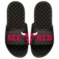 Шлепки Chicago Bulls ISlide Black Team Slogan