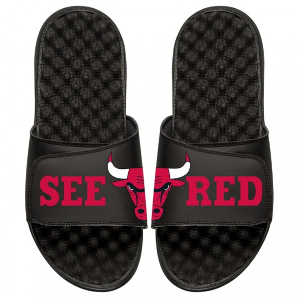 Шлепки Chicago Bulls ISlide Black Team Slogan