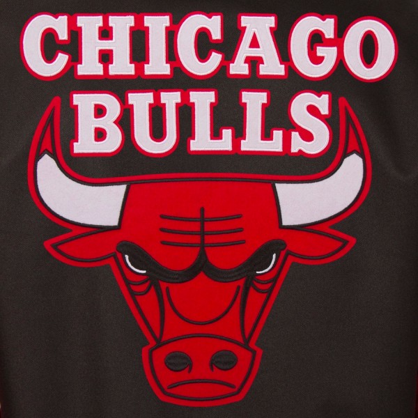 Куртка Chicago Bulls JH Design - Black