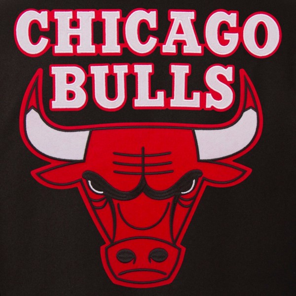 Куртка Chicago Bulls JH Design Black Reversible Wool Logo