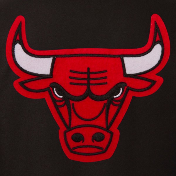 Куртка Chicago Bulls JH Design Black Reversible Wool Logo