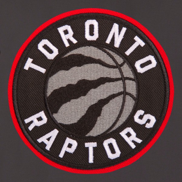 Куртка двусторонняя Toronto Raptors JH Design - Gray