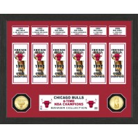 Chicago Bulls Highland Mint 15 x 12 Banner Bronze Coin Photo Mint
