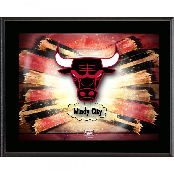 Chicago Bulls Authentic 10.5 x 13 Sublimated Horizontal Hardwood Classics Team Logo Plaque