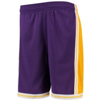 Детские шорты Los Angeles Lakers Mitchell & Ness Hardwood Classics Swingman - Purple