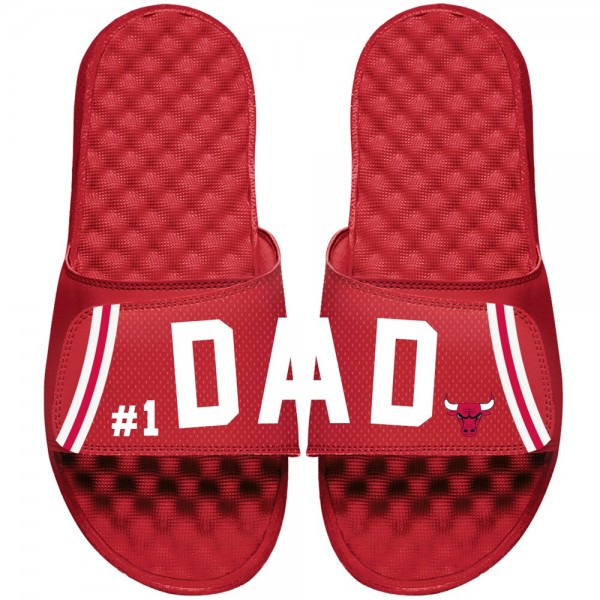 Шлепки Chicago Bulls ISlide Dad - Red