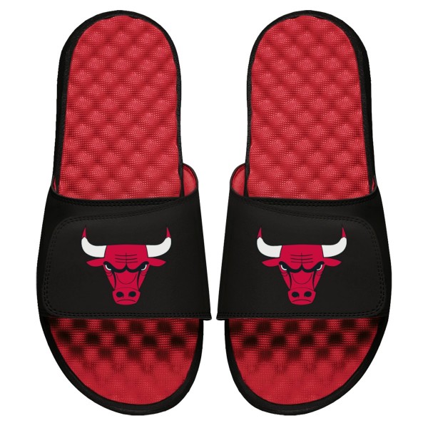 Шлепки Chicago Bulls ISlide Primary Logo - Red