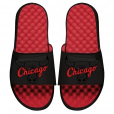 Детские шлепки Chicago Bulls ISlide Tonal Pop - Red