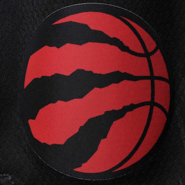Шорты Toronto Raptors Jordan Brand Black/Red 2020/21 Association Edition Performance Swingman - спортивная одежда НБА