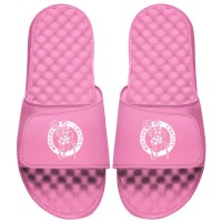 Детские шлепки Boston Celtics ISlide Primary Logo - Pink