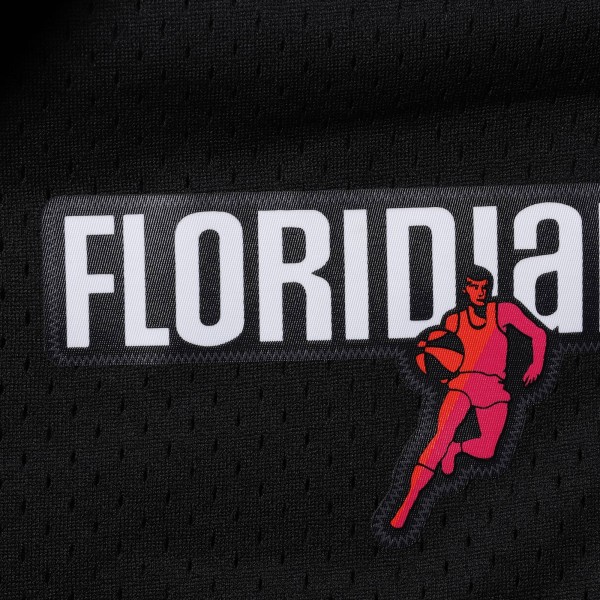 Шорты Miami Heat Mitchell & Ness Hardwood Classics Primary Logo Swingman - Black