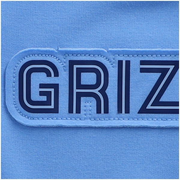 Толстовка с капюшоном Memphis GrizzliesLinear Logo Comfy Colorblock - Light Blue/Navy - фирменная одежда NBA